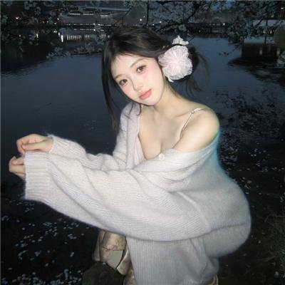 公主复仇者